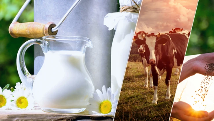 Çiftçilere müjde! Destekleme ödemesi hesaplara aktarıldı