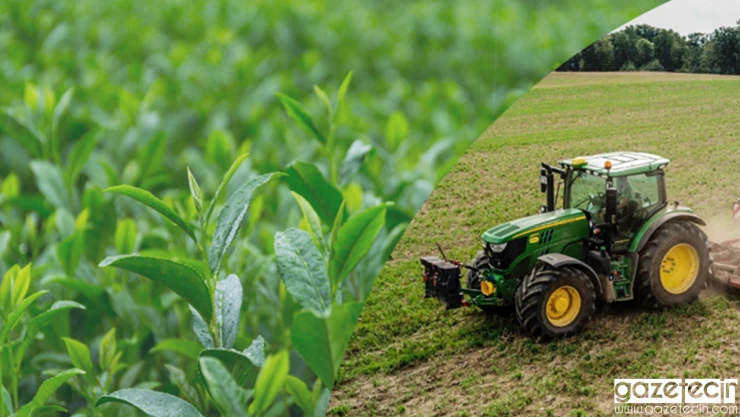 Çiftçilerin beklediği destek ödemeleri hesaplara aktarılıyor