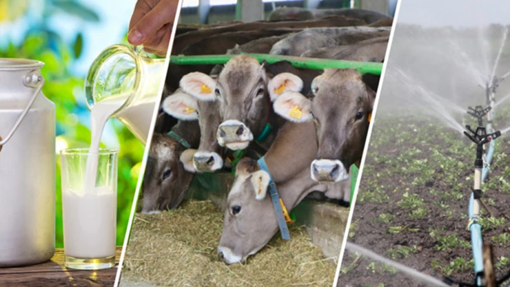 Çiftçilerin beklediği haber geldi!