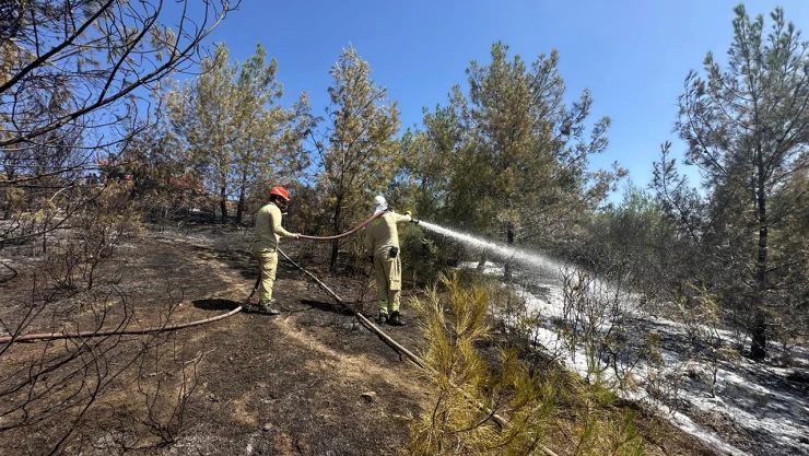 Çıkan orman yangına havadan ve karadan müdahale başladı