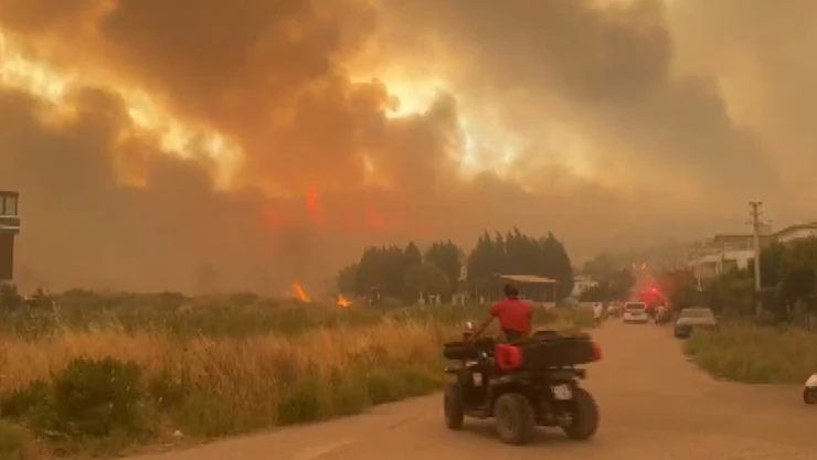 Çıkan orman yangını, yerleşim birimlerine sıçradı