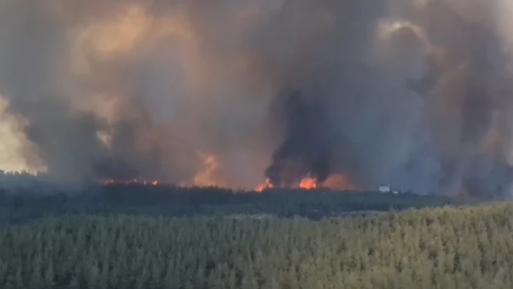 Çukurova'da çıkan orman yangınına havadan ve karadan müdahale