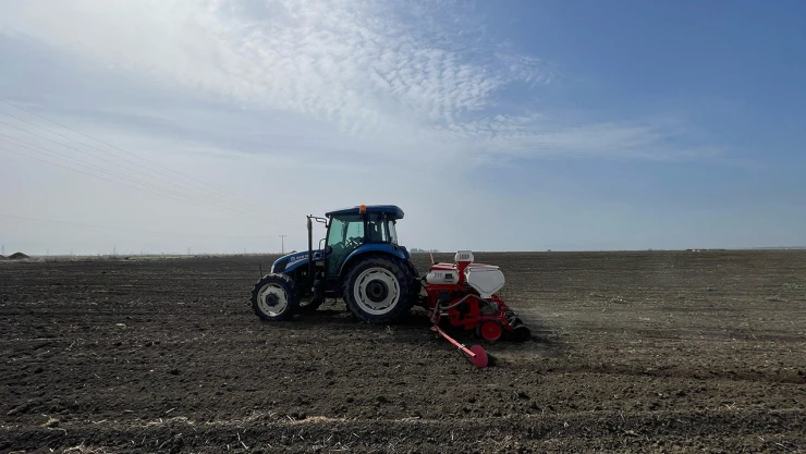 Çukurova'da tarımsal üretim kesintisiz devam ediyor