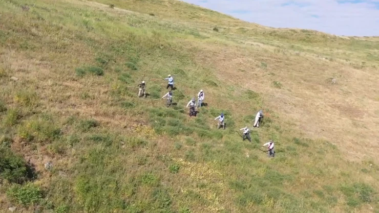 Dağlık bölgelerdeki araziler asırlık tırpanlarla imece usulü biçiliyor