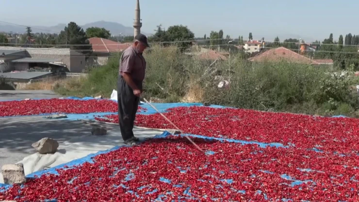 Damlarda kuruyan Cırgalan biberi sofralara lezzet katıyor