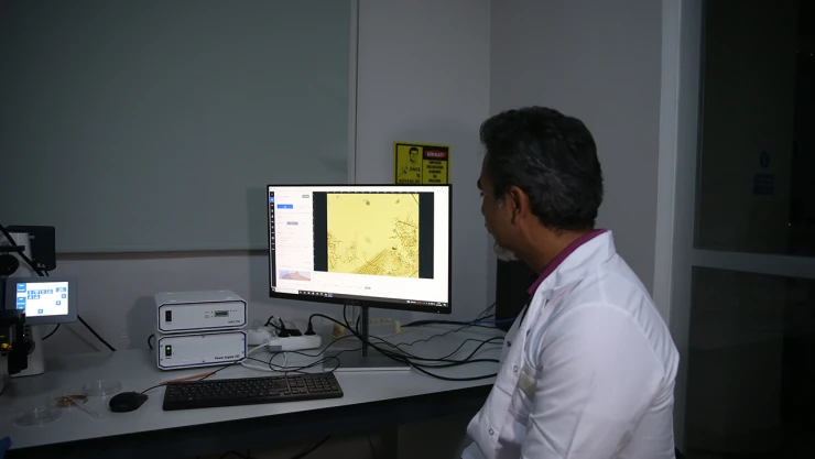 Deniz kıyısında köpük benzeri tabakaya ilişkin inceleme tamamlandı