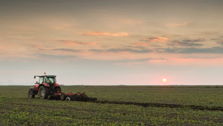 Deprem bölgesindeki atıl tarım arazileri, üretime kazandırılıyor