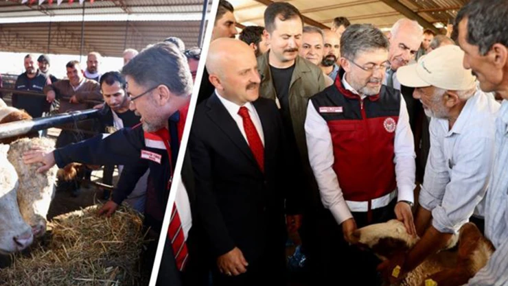 Deprem bölgesindeki yetiştiricilere bedelsiz hayvan dağıtımı tamamlandı