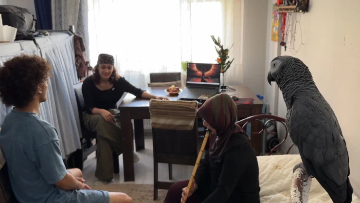 Depremin 72. saatinde kurtardıkları papağanlarına gözü gibi bakıyorlar