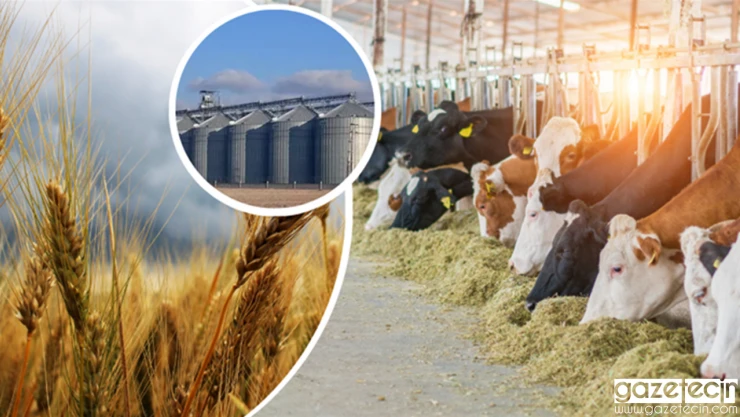 Destekleme ödemeleri başladı