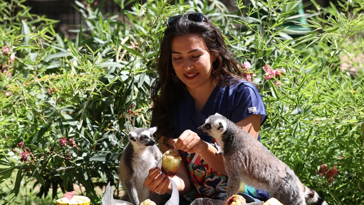 Doğal Yaşam Parkı sakinleri, buzlu meyve kokteyli ile serinliyor