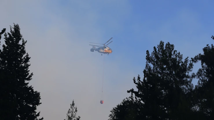 Dörtyol'da dün çıkan orman yangınına müdahale sürüyor