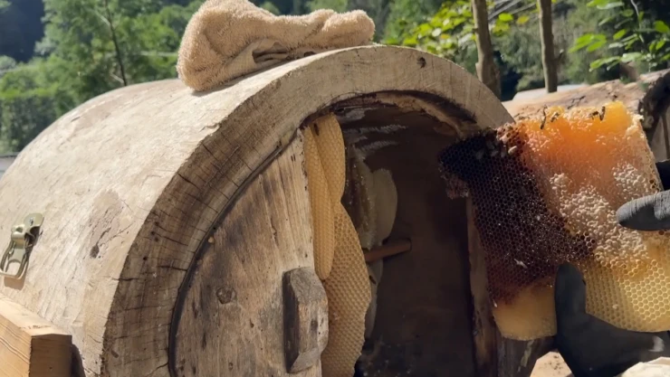 Dubai 'ye satılan bu balın kilosu 6 bin TL