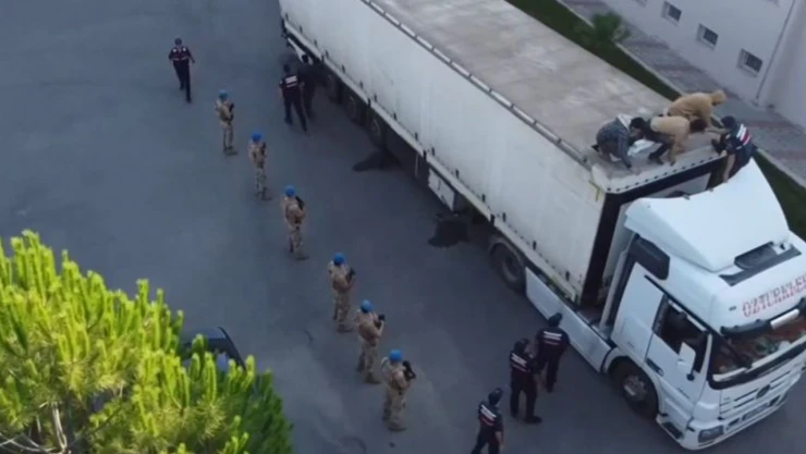 Düzensiz göçmenler sınır dışı ediliyor