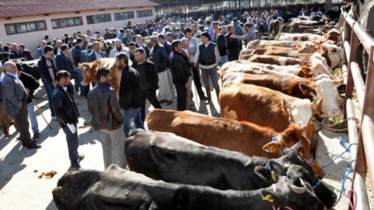 Elbistan Hayvan Borsası ikinci bir emre kadar kapatıldı