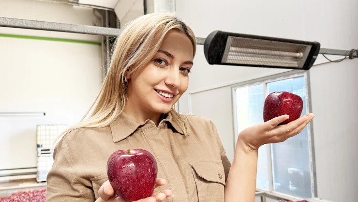 Elma üreticisi genç çiftçi ürünlerini kurutarak katma değerli hale getirecek