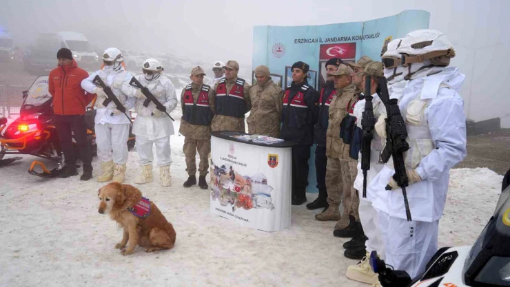 Ergan Dağında güvenlik onlara emanet