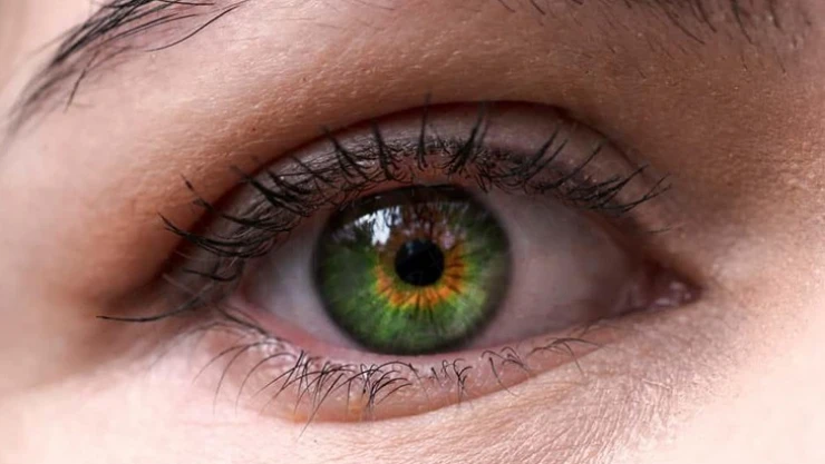 Ertelenen göz problemleri kalıcı görme kaybına neden olabiliyor