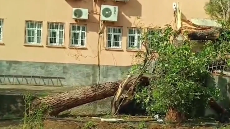 Fırtına ağaçları devirdi, çatıları uçurdu