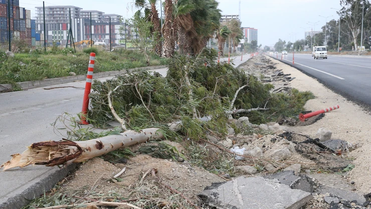 Fırtına ağaçları yerinden söktü, 6 tekne 1 bot alabora oldu