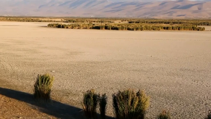 Fotoğrafçılar kuruyan Ereğli Akgöl Sazlıkları'nı görüntüledi