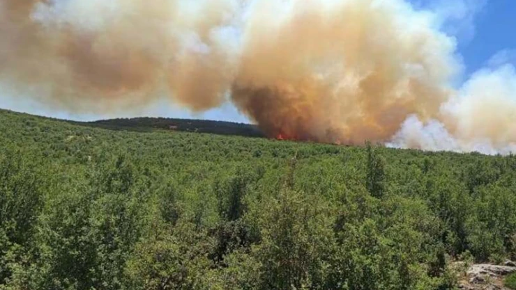 Gaziantep'te çıkan orman yangınına Kahramanmaraş'tan da ekipler sevk edildi
