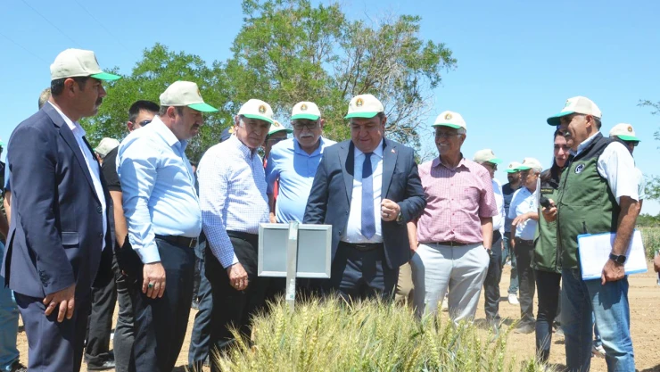 Gezginç, 'Hububat alanındaki her dört tohumdan bir tanesini TİGEM üretiyor'