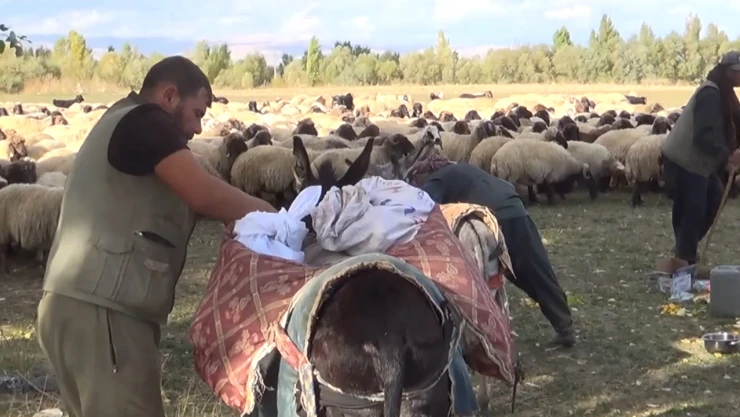 Göçerlerin yaylalardan dönüş yolculuğu sürüyor