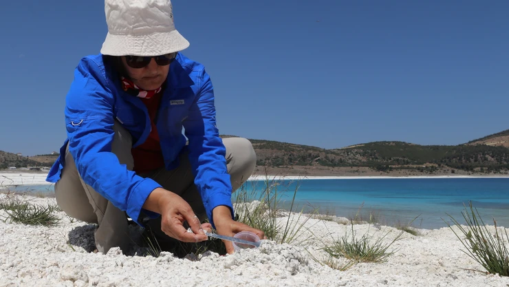 Göller Bölgesi'ndeki kayaçlar, Mars çalışmalarına referans olacak