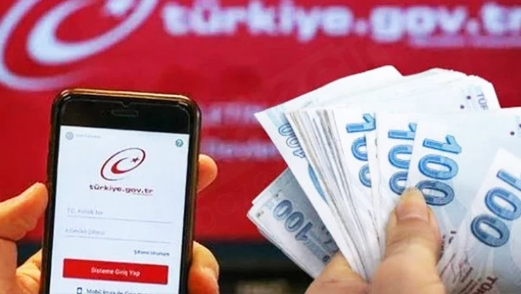 Hak sahipliği başvuruları e-Devlet'e taşındı