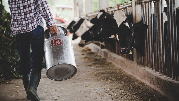 Haksız fiyatlandırma yapan süt şirketlerine 58,3 milyon TL ceza