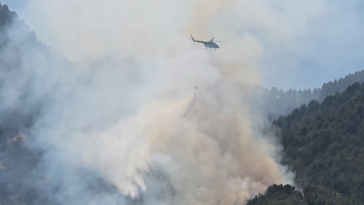 Hassa'da yangın! Havadan ve karadan müdahale ediliyor