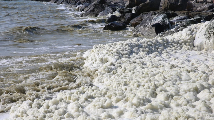 Hatay'da deniz kıyıları tehlike altında mı?