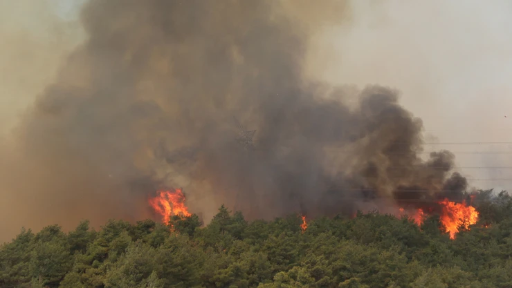 Hatay'da dün çıkan orman yangınına müdahale sürüyor
