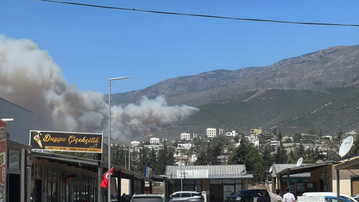 Hatay'da ormanlık alanda yangın çıktı