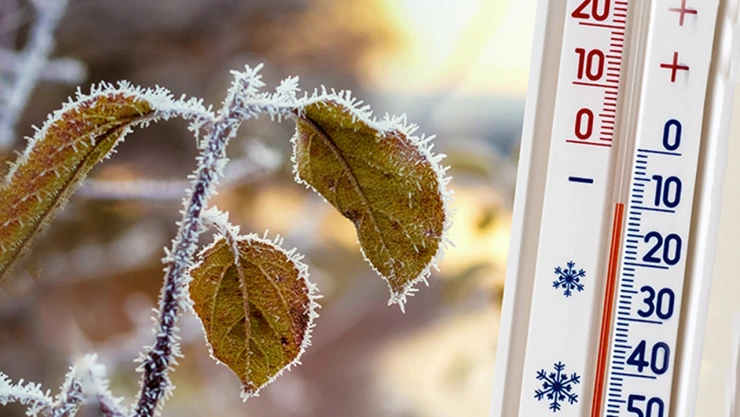 Hava soğuyor! Karla karışık yağmur ve zirai don uyarısı