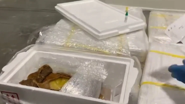 Havalimanı'nda 455 kilo kokain ele geçirildi