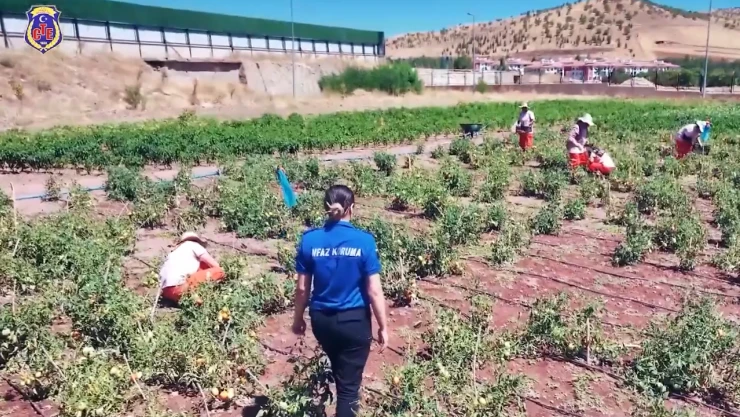 Hayat varsa, umut da vardır projesine birincilik ödülü
