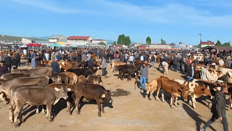 Hayvan Borsası'nda kurbanlık hareketliliği başladı