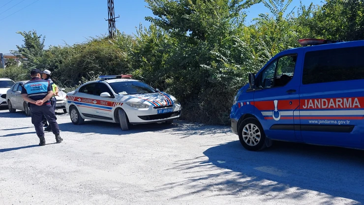 Hayvan parkından kaçan aslan bir kişiyi yaraladı