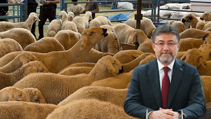 İbrahim Yumaklı'dan, kurbanlık arzında herhangi bir sorun yok açıklaması