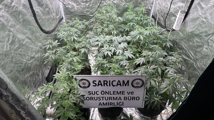 İklimlendirme sistemiyle evde kenevir yetiştiren 3 zanlıdan 1'i tutuklandı