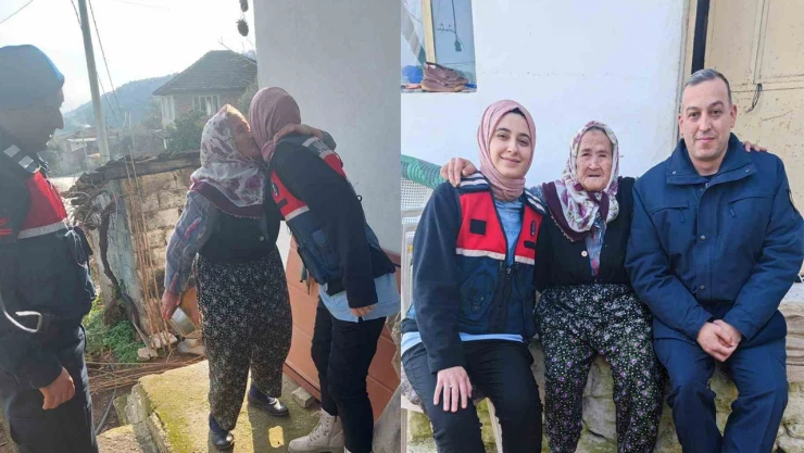 İl Jandarma Komutanlığı, asırlık çınarları yalnız bırakmıyor