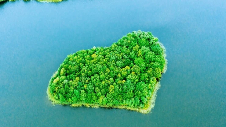 ING'nin iklim hedefleri, doğrulandı