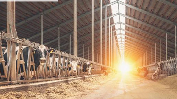 IPARD-II kapsamında 282 projeye hibe desteği sağlanacak