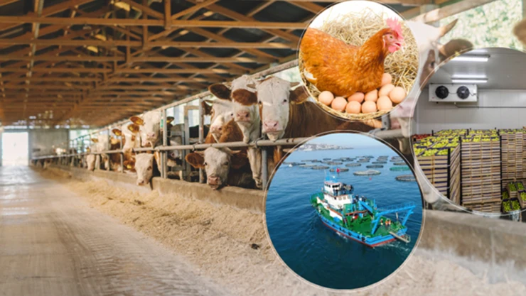 IPARD III Programı 10. çağrı ilanının toplam destek bütçesi 50 milyon avro olarak açıklandı