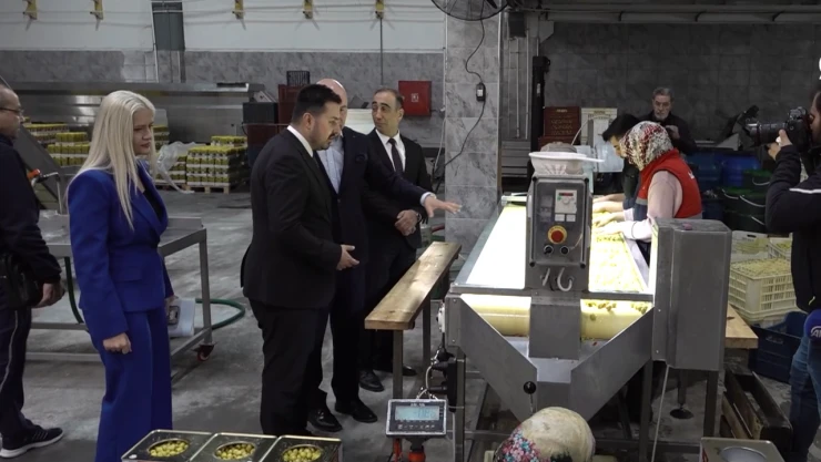 IPARD programlarıyla 26 bin projeye destek sağlandı