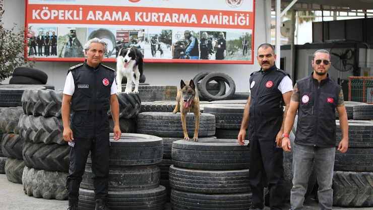İtfaiyesinin ödüllü arama kurtarma köpekleri AFAD'ın sınavına hazırlanıyor