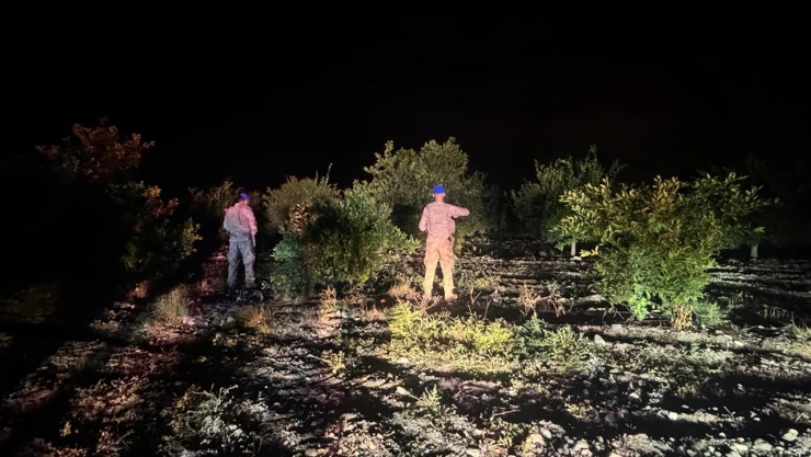 Jandarma ekipleri narenciye nöbetinde