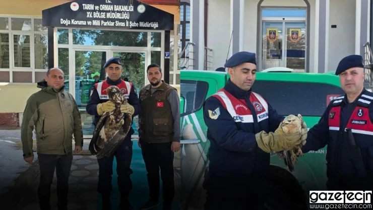 Jandarmanın bulduğu kuşlar, koruma altına alındı